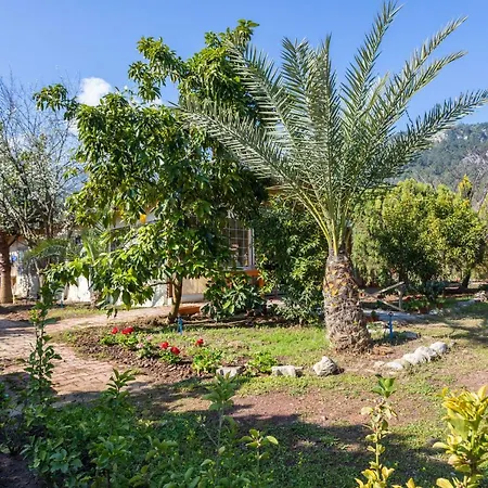 Likya Yanartas Bungalows * Cirali