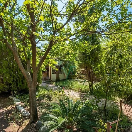 Likya Yanartas Bungalows *