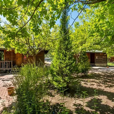 Homestay Likya Yanartas Bungalows