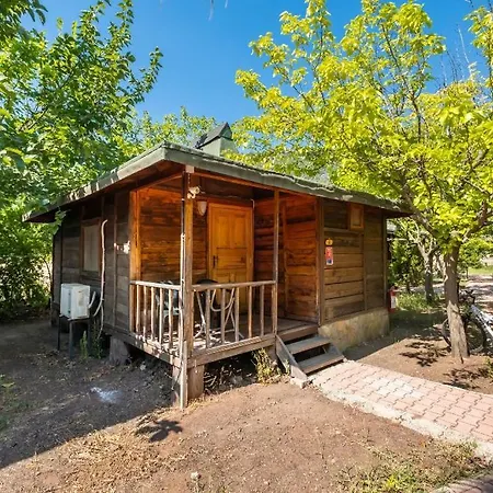 Likya Yanartas Bungalows Çıralı