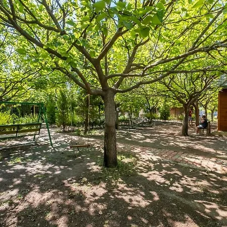 Likya Yanartas Bungalows * Cirali