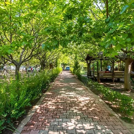 Likya Yanartas Bungalows * Cirali