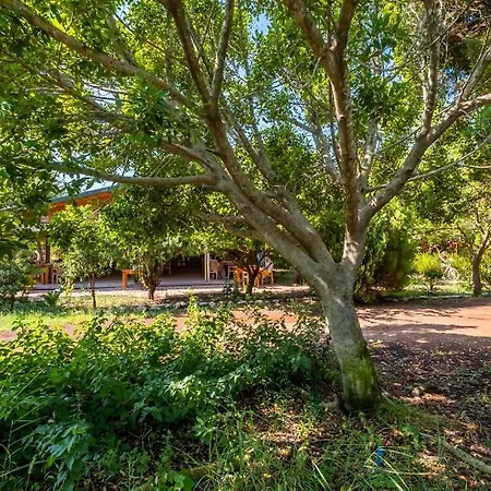 Likya Yanartas Bungalows Cirali