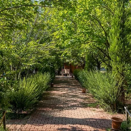 Likya Yanartas Bungalows Homestay Cirali