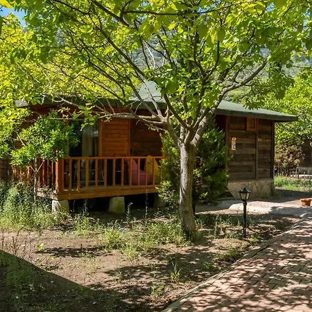 Likya Yanartas Bungalows Rum i privatbostad