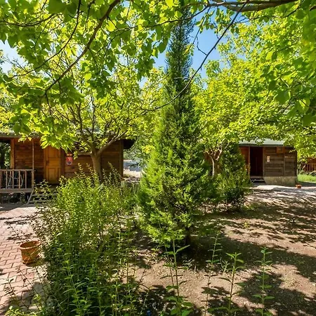 Rum i privatbostad Likya Yanartas Bungalows