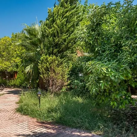 Rum i privatbostad Likya Yanartas Bungalows Çıralı
