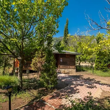 Rum i privatbostad Likya Yanartas Bungalows Çıralı